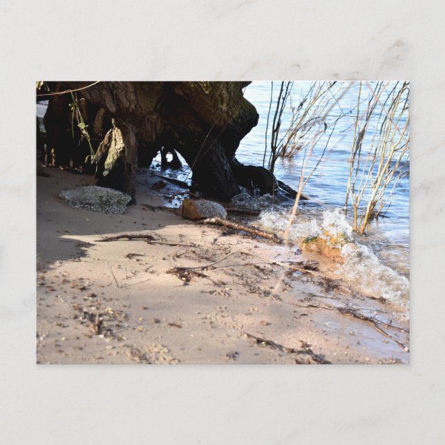 Breakers, Beachlife Postkarte (Vorderseite)