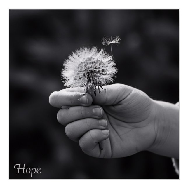 Breath of Hope Poster (Vorderseite)