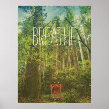 Breathe Kyōto Shinto Schlangenwälder Bäume Natur
