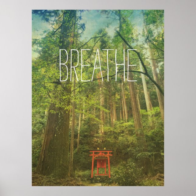 Breathe Kyōto Shinto Schlangenwälder Bäume Natur Poster (Vorne)