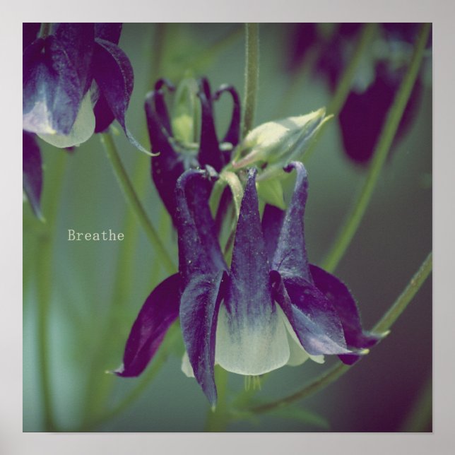 Breathe - Poster Carré (Devant)