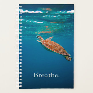 Breathe Turtle | Tortue de mer | Turtle Lover