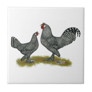 Breda-Huhn-Kuckuck Fliese