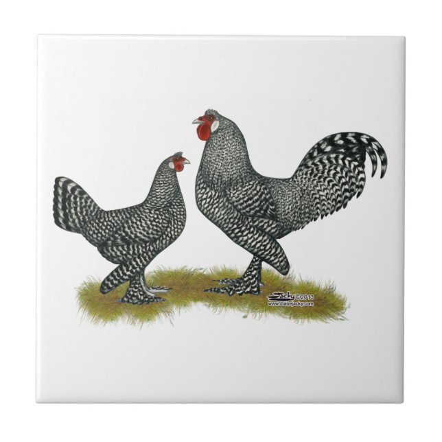 Breda-Huhn-Kuckuck Fliese (Vorderseite)