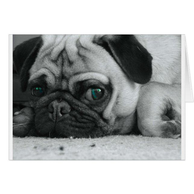 Breena pic (Vorderseite (Horizontal))