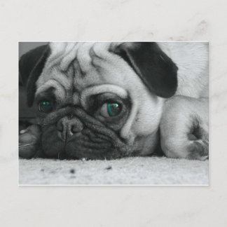 Breena pic postkarte