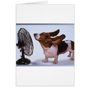 Breeze - Chien et ventilateur