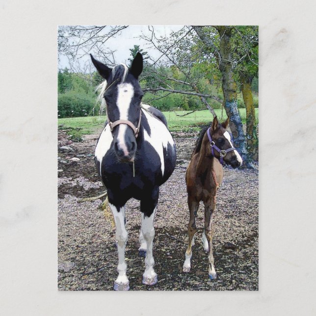 Breezie n Zura Postkarte (Vorderseite)