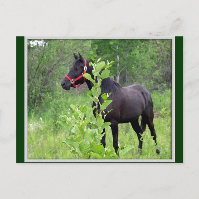 Breezy Postkarte (Vorderseite)