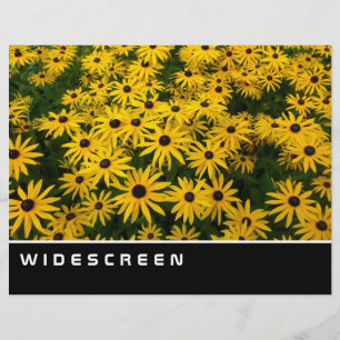 Breitbild - Susans mit den schwarzen Augen Flyer