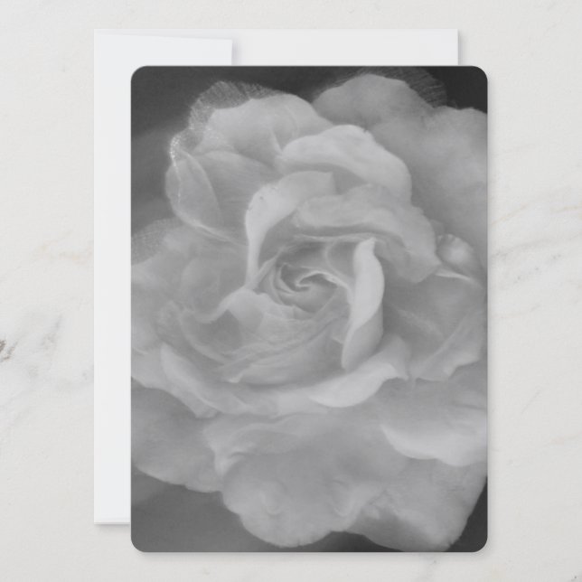 BREITE EINLADUNG Flachkarte SCHÖNE ROSE STIL (Vorderseite)