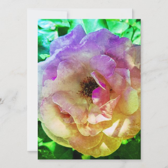 BREITE EINLADUNG Flachkarte SCHÖNE ROSE STIL (Vorderseite)