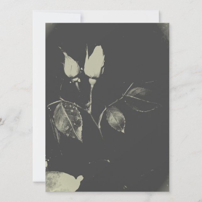 BREITE EINLADUNG ROSE DESIGN STIL (Vorderseite)