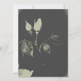 BREITE EINLADUNG ROSE DESIGN STIL