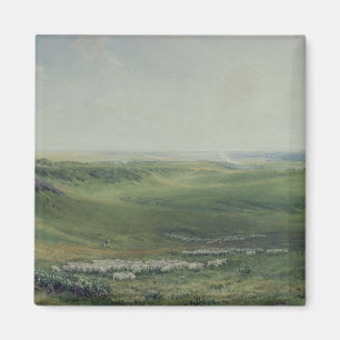 Breite Weiden, Sussex Magnet