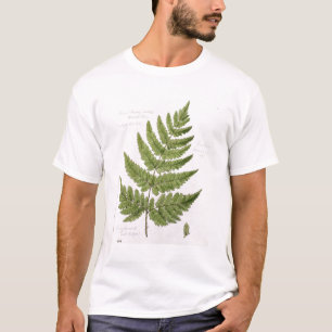Breiter Stachelig-gezahnter Stopfen-Farn, gemalt T-Shirt