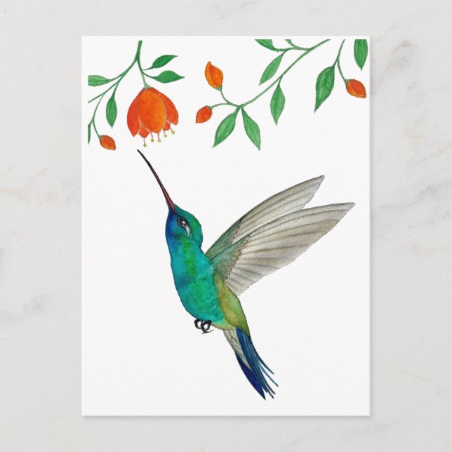 Breitschnabelkolibri Postkarte (Vorderseite)