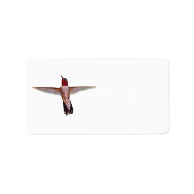 Breitschwanz-Kolibris Adressaufkleber (Vorne)