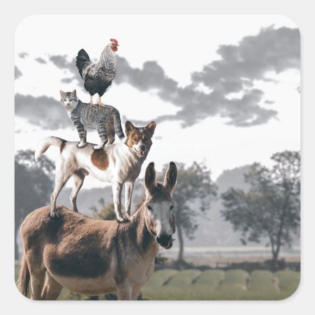 Bremen Musicians Fun Animal Story Quadratischer Aufkleber (Vorderseite)