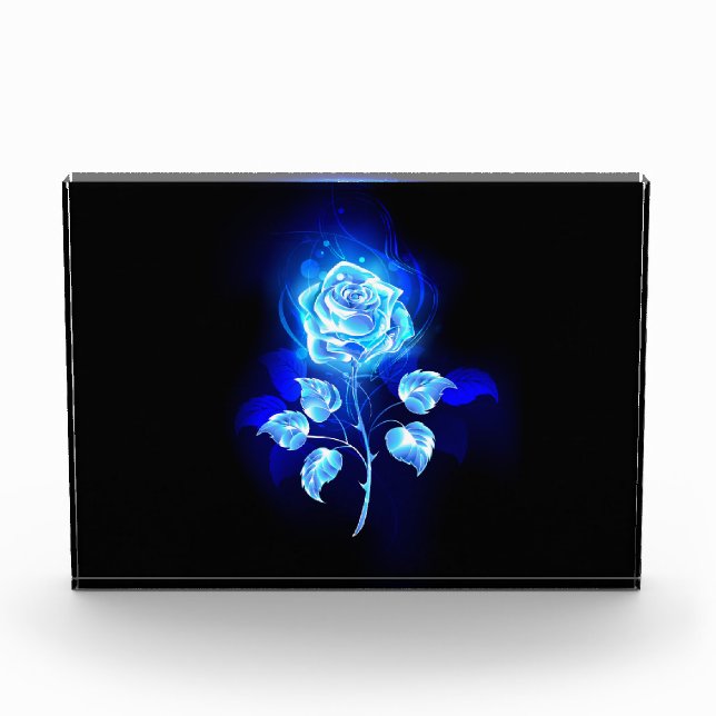 Brennen der blauen Rose Fotoblock (Vorderseite)