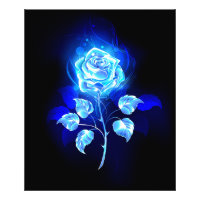 Brennen der blauen Rose