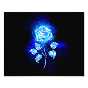 Brennen der blauen Rose Fotodruck