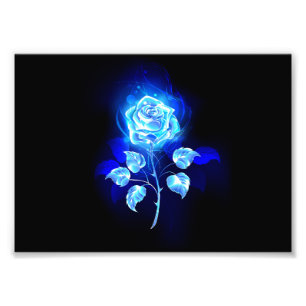 Brennen der blauen Rose Fotodruck