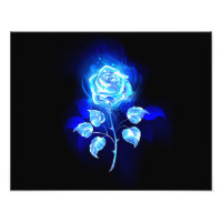 Brennen der blauen Rose