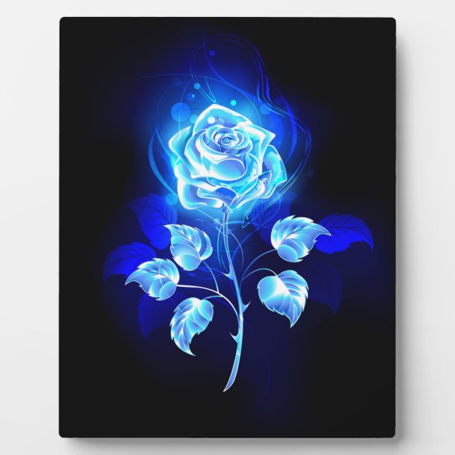 Brennen der blauen Rose Fotoplatte (Vorderseite)