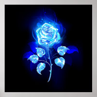 Brennen der blauen Rose