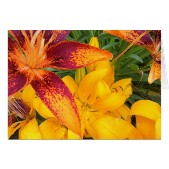 Brennende asiatische Lilien-Gruß-Karte Karte
