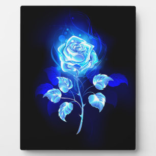 Brennende Blaue Rose Fotoplatte