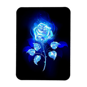 Brennende Blaue Rose Magnet