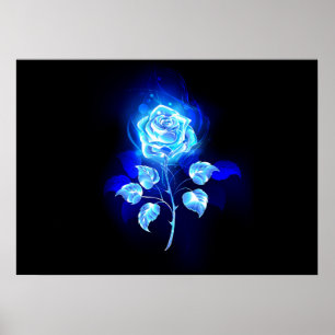 Brennende blaue Rose Poster