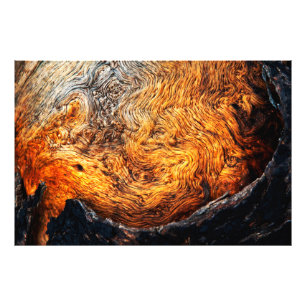 Brennholz Fotodruck