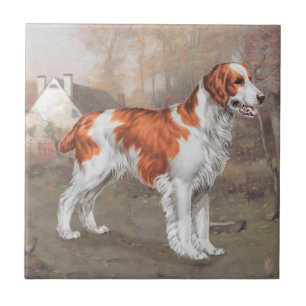 Bretagne auf dem Feld Fliese