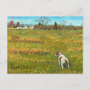 Bretagne auf dem Feld Postkarte