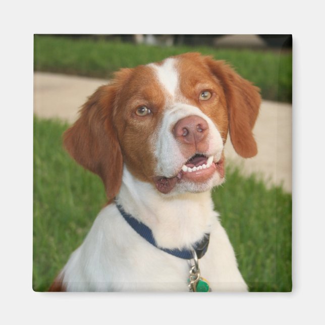 Bretagne Magnet (Devant)