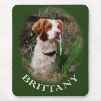 Bretagne Mousepad