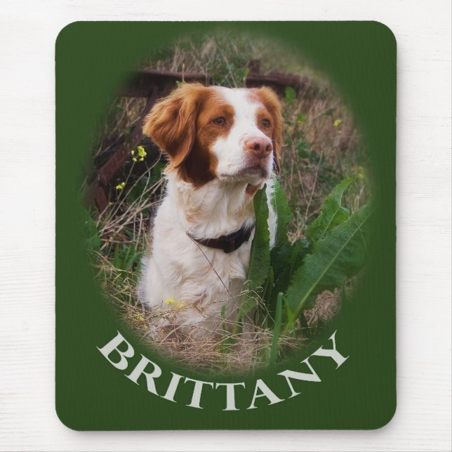 Bretagne Mousepad (Vorne)