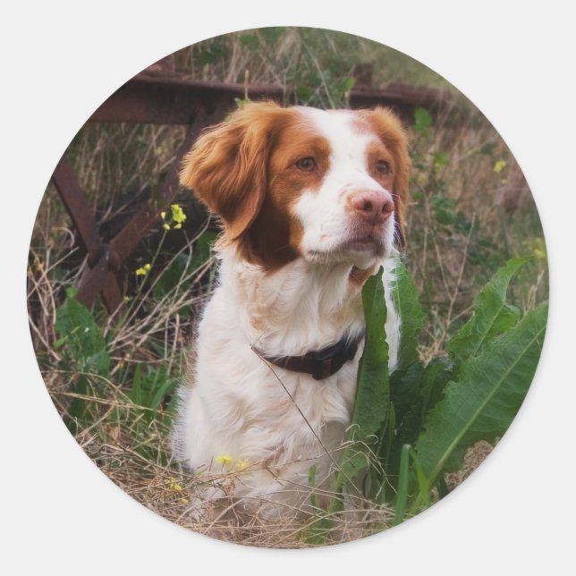 Bretagne Runder Aufkleber (Vorderseite)