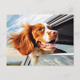 Bretagne spaniel in Car Window Postkarte
