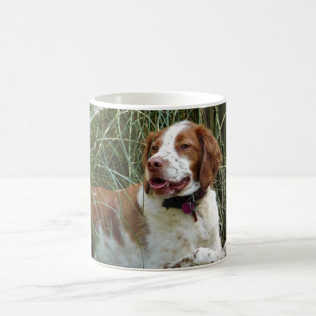 Bretagne Spaniel Mug (Centre)
