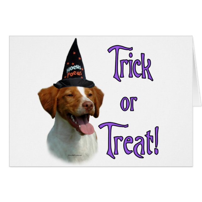 Bretagne Spaniel Trick (Devant horizontal)