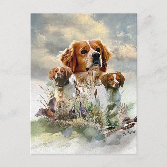 Bretagne-Spaniels, Französische Bretagne, Vogelhun Postkarte (Vorderseite)