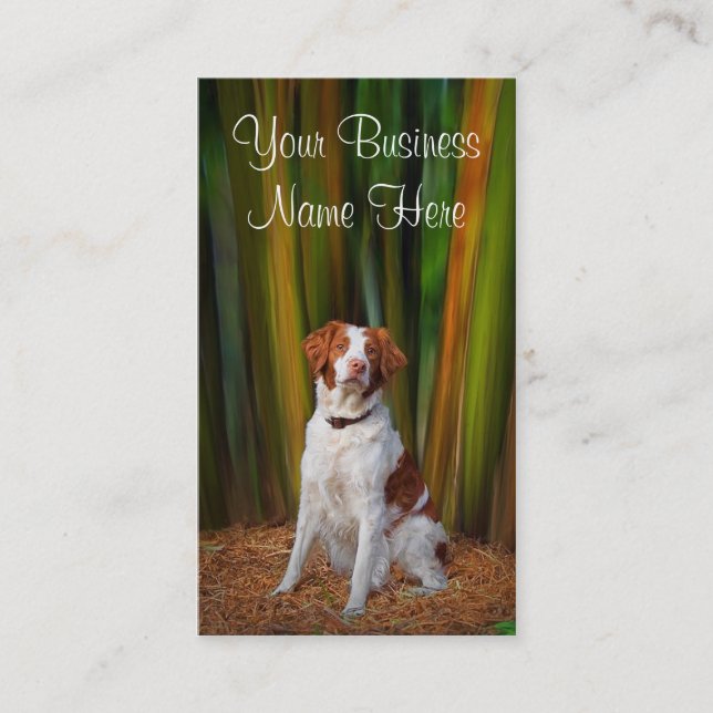 Bretagne-Visitenkarte Visitenkarte (Vorderseite)