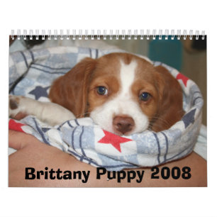 Bretagne-Welpen-Kalender 2008 (GANZ ROSTIG) Kalender