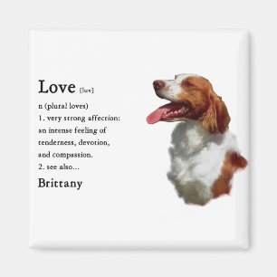 Bretagnespaniel-Geschenke Magnet