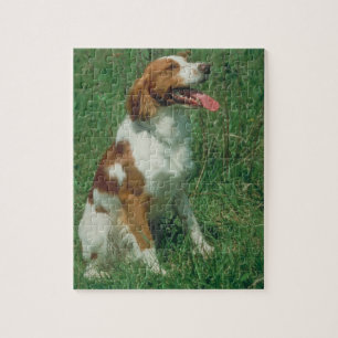 Bretagnespaniel-Hundepuzzlespiel