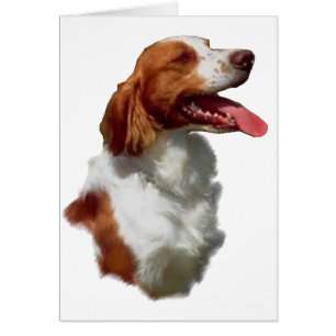 Bretagnespaniel-Kunst-Geschenke